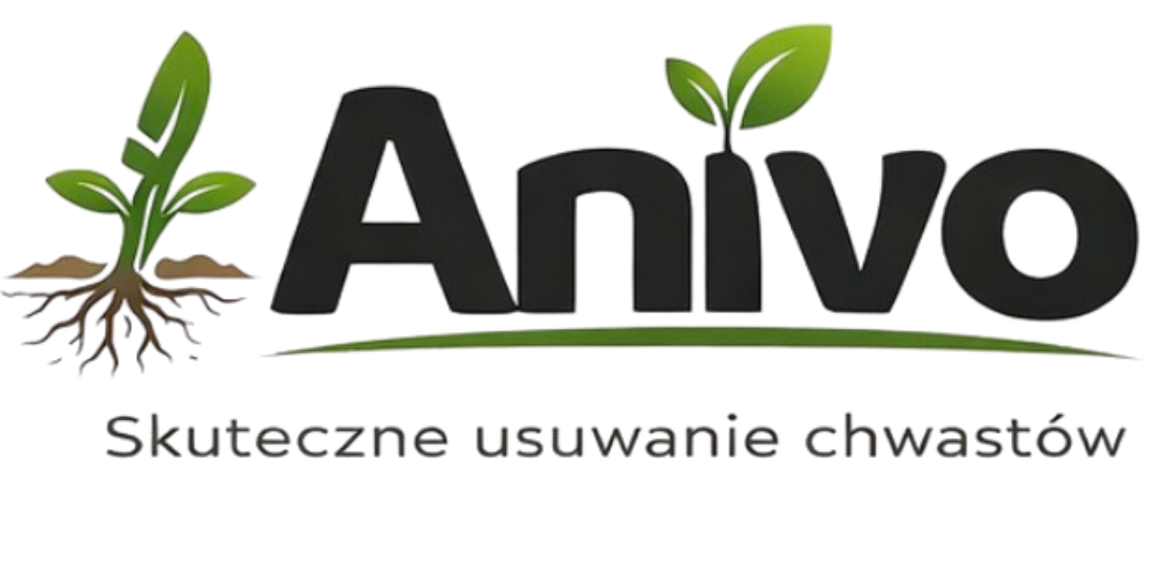 Anivo