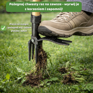 Chwastownik – usuń chwasty z korzeniami raz na zawsze